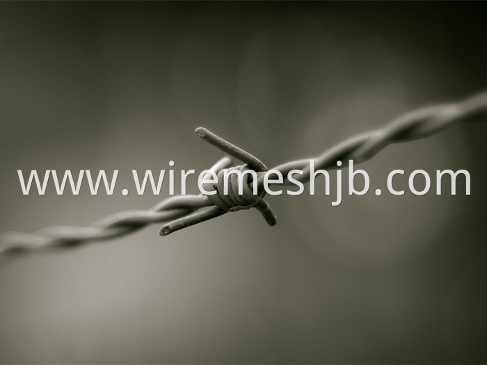 Barb Wire Fence